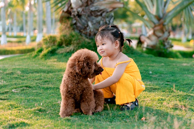 a young girl in a yellow dress touching a dog in the park